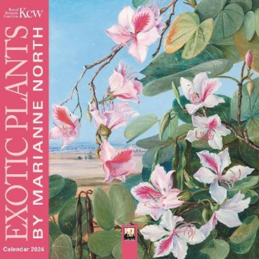 Picture of Kew Gardens: Exotic Plants by Marianne North Mini Wall Calendar 2024 (Art Calendar)