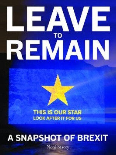 Picture of Leave to Remain