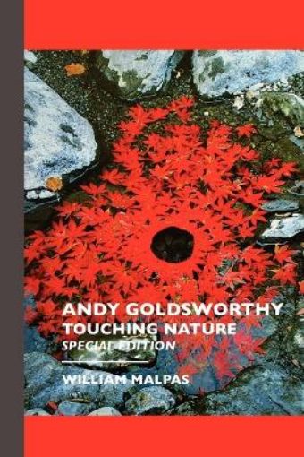 Picture of Andy Goldsworthy