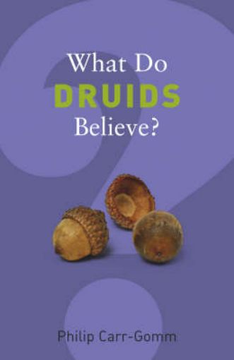 Picture of What Do Druids Believe?