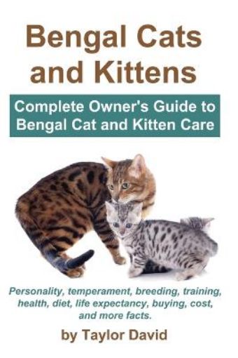 Picture of Bengal Cats and Kittens