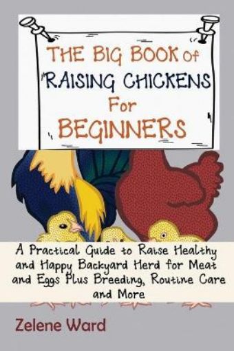 Picture of Big Book of Raising Chickens for Beginners