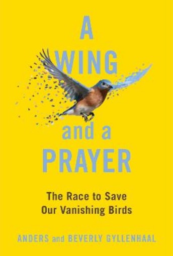 Picture of Wing and a Prayer