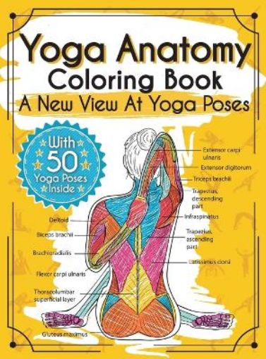 Picture of Yoga Anatomy Coloring Book