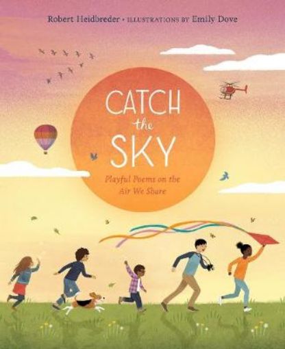 Picture of Catch the Sky