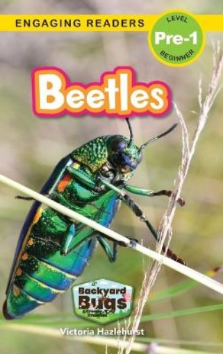 Picture of Beetles