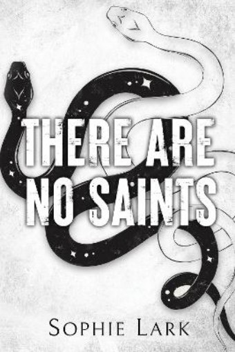 Picture of There Are No Saints