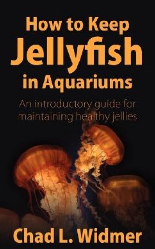 Picture of How to Keep Jellyfish in Aquariums