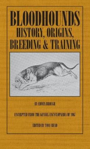 Picture of Bloodhounds: History - Origins - Breeding - Training