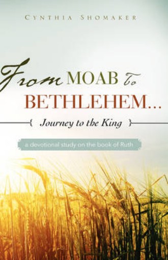 Picture of FROM MOAB TO BETHLEHEM...journey to the King