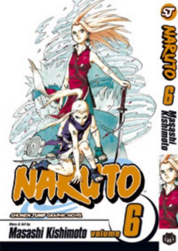 Picture of Naruto, Vol. 6