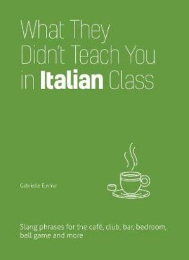 Picture of What They Didn't Teach You In Italian Class