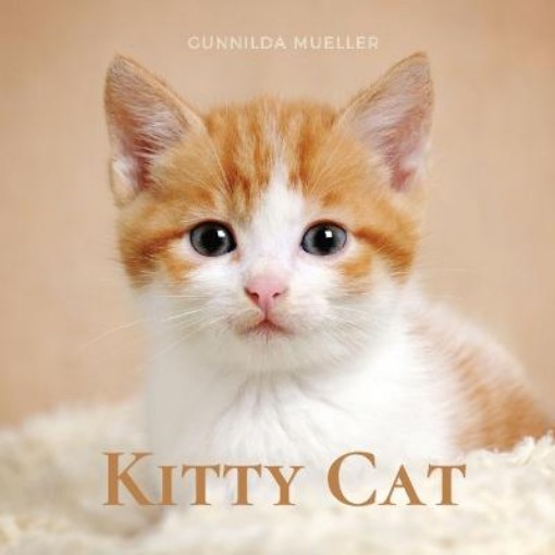 Picture of Kitty Cat