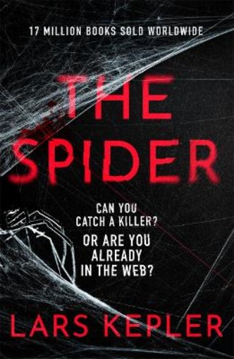Picture of Spider