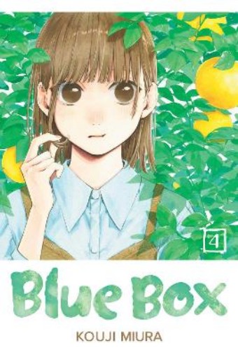 Picture of Blue Box, Vol. 4