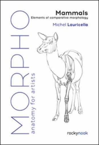 Picture of Morpho: Mammals