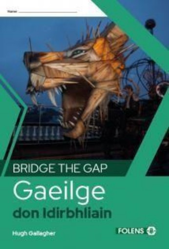 Picture of Bridge The Gap - Gaeilge don Idirbhliain