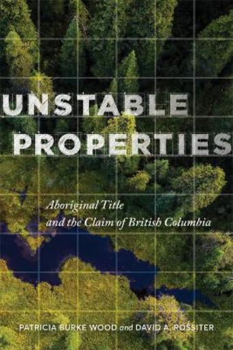 Picture of Unstable Properties
