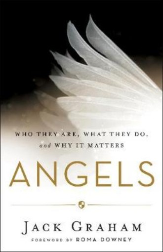 Picture of Angels - Who They Are, What They Do, and Why It Matters