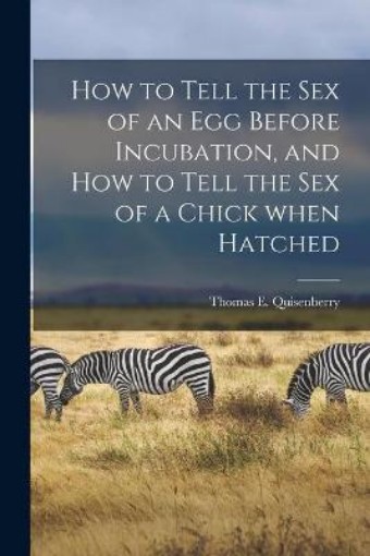 Picture of How to Tell the Sex of an Egg Before Incubation, and How to Tell the Sex of a Chick When Hatched