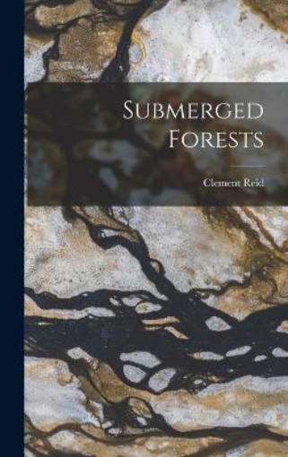 Picture of Submerged Forests