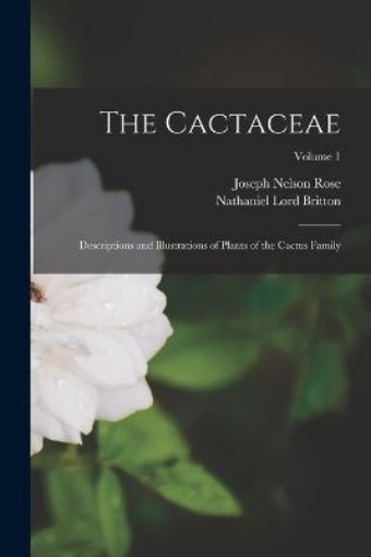 Picture of Cactaceae