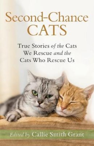 Picture of Second-Chance Cats - True Stories of the Cats We Rescue and the Cats Who Rescue Us