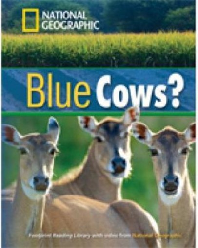 Picture of Blue Cows?
