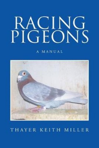 Picture of Racing Pigeons