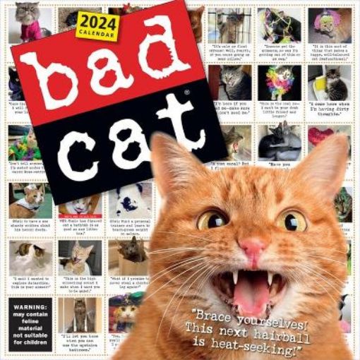 Picture of Bad Cat Wall Calendar 2024