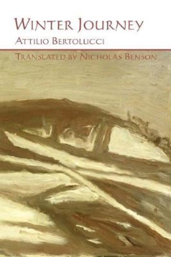 Picture of Winter Journey