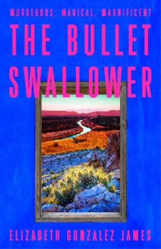 Picture of Bullet Swallower