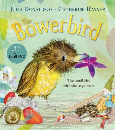 Picture of Bowerbird