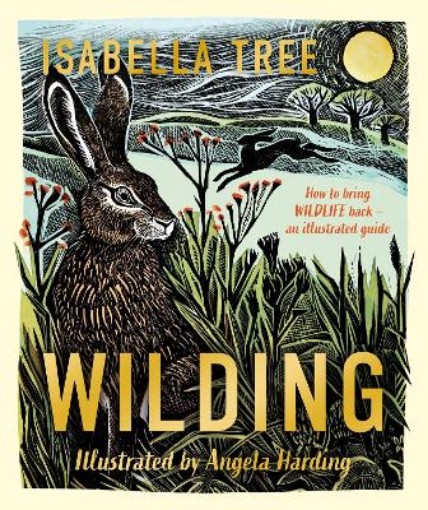 Picture of Wilding: How to bring wildlife back - an illustrated guide