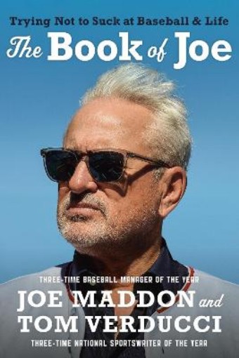 Picture of The Book of Joe