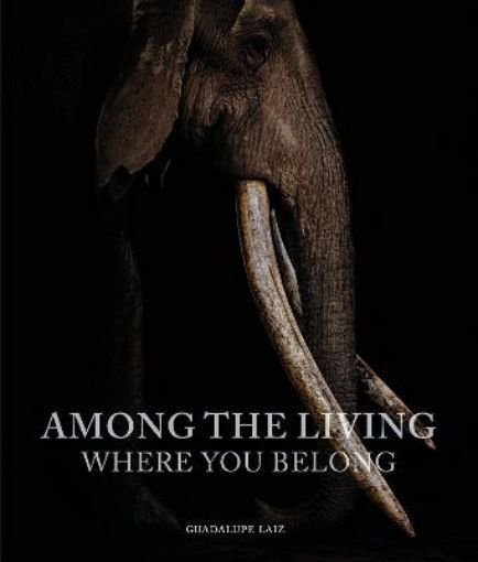 Picture of Among the Living