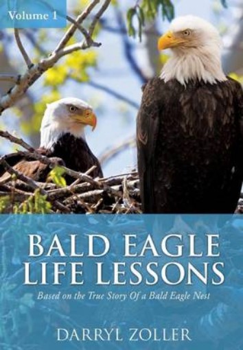 Picture of Bald Eagle Life Lessons