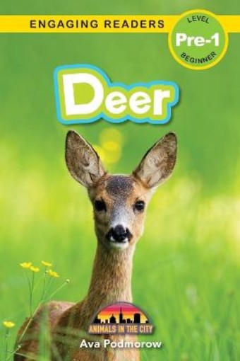 Picture of Deer