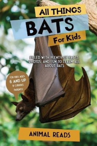 Picture of All Things Bats For Kids