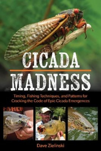 Picture of Cicada Madness