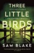 Picture of Three Little Birds: 'The modern-day Agatha Christie' Steve Cavanagh