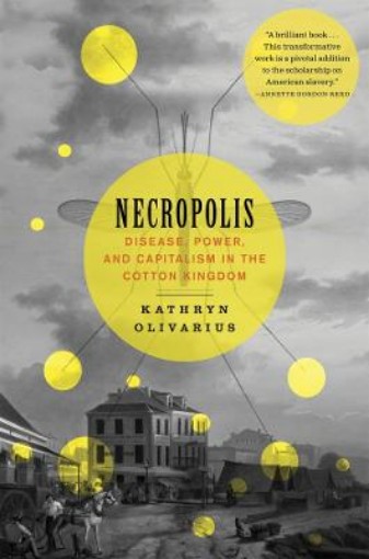 Picture of Necropolis