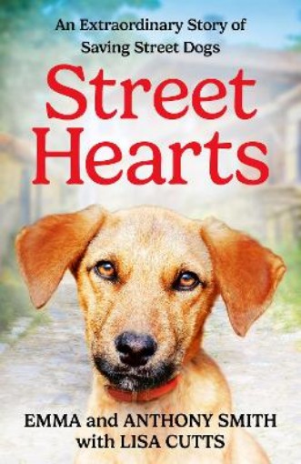 Picture of Street Hearts