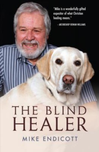 Picture of Blind Healer