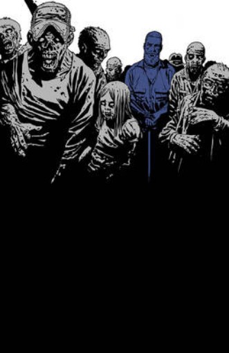 Picture of Walking Dead Book 12
