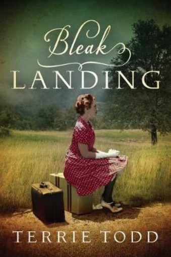 Picture of Bleak Landing