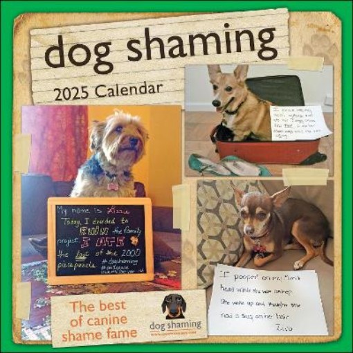 Picture of Dog Shaming 2025 Wall Calendar