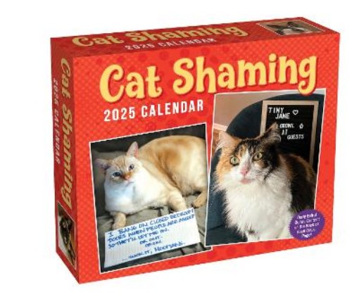 Picture of Cat Shaming 2025 Day-to-Day Calendar