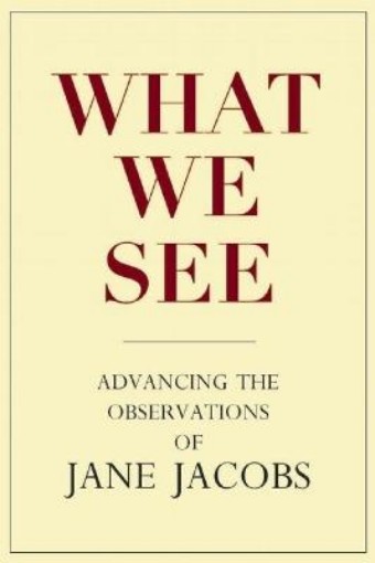 Picture of What We See