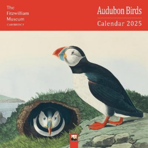 Picture of Fitzwilliam Museum: Audubon Birds Wall Calendar 2025 (Art Calendar)